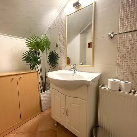 Apartma Savan *