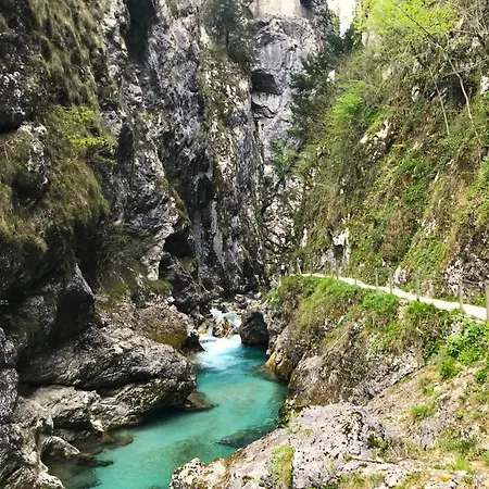 Lejlighed Apartma Savan *