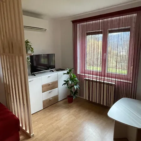 Apartment Apartma Savan Tolmin