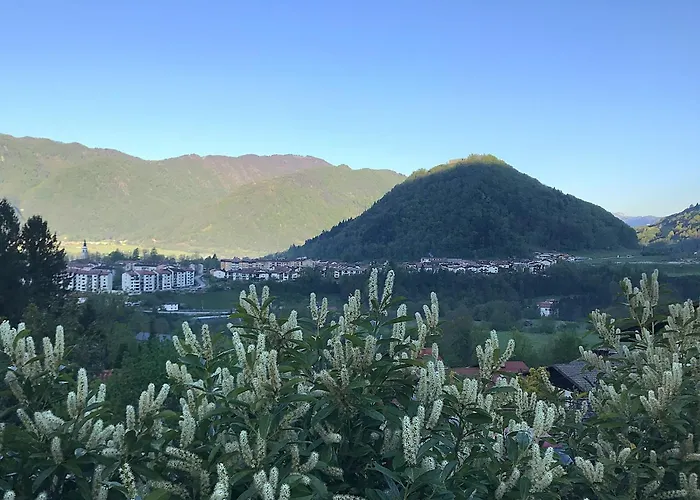 Apartma Savan アパート トールミン