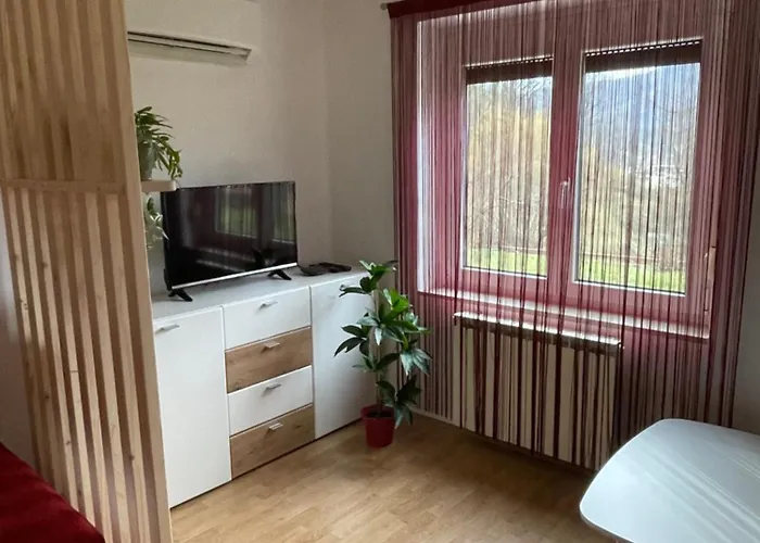 アパート Apartma Savan トールミン